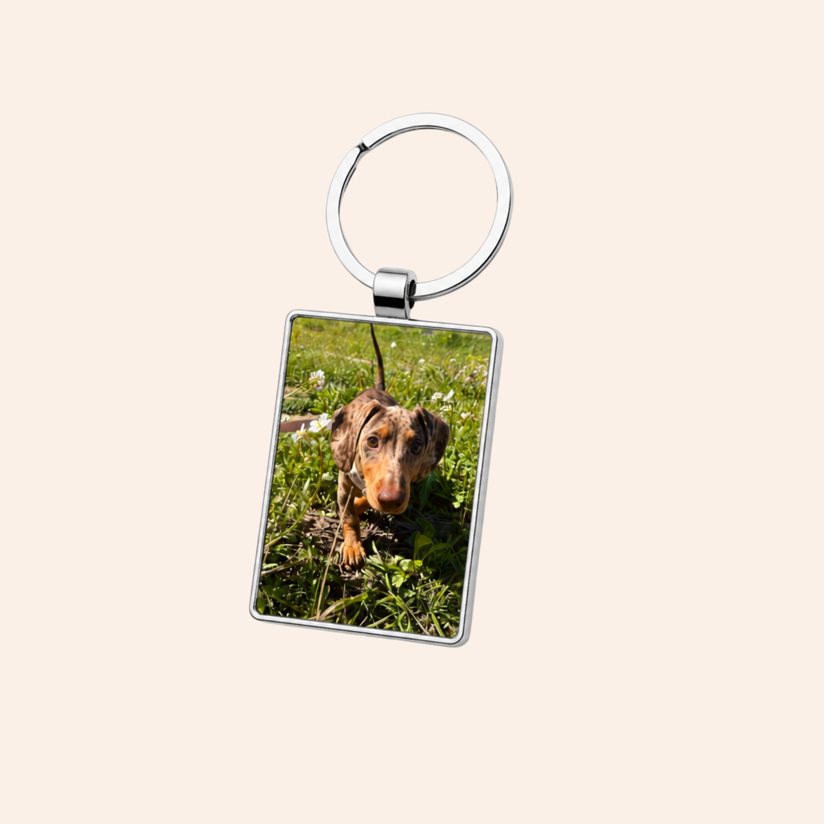 Llavero Acero Rectangular Mascota