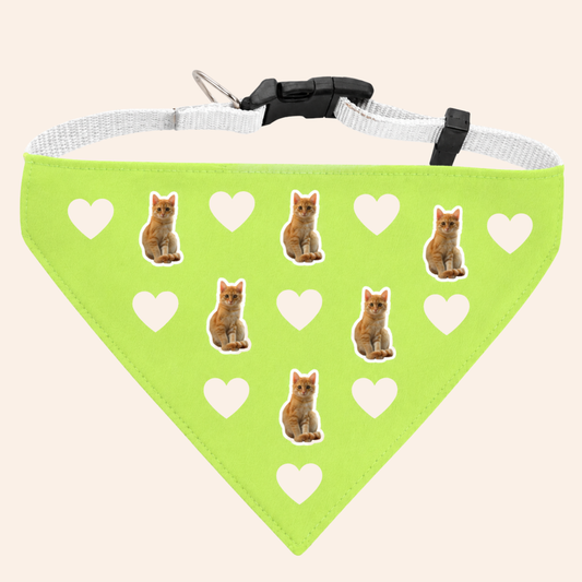 Collar bandana corazones