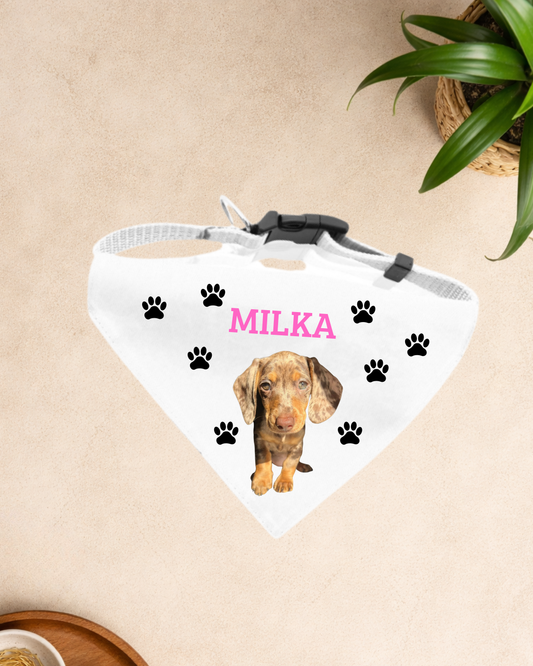 Collar bandana huellas