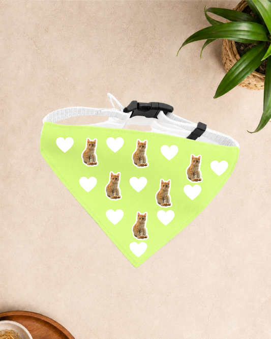 Collar bandana corazones